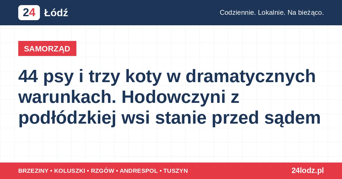 44 psy i trzy koty w dramatycznych warunkach. Hodowczyni z podłódzkiej wsi stanie przed sądem